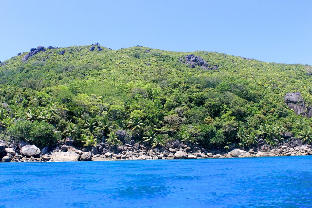 Diving at Baie Ternay Marine National Park: Mahe Island, diving in Seychelles, the Seychelles - Kaptain Kenny Travel