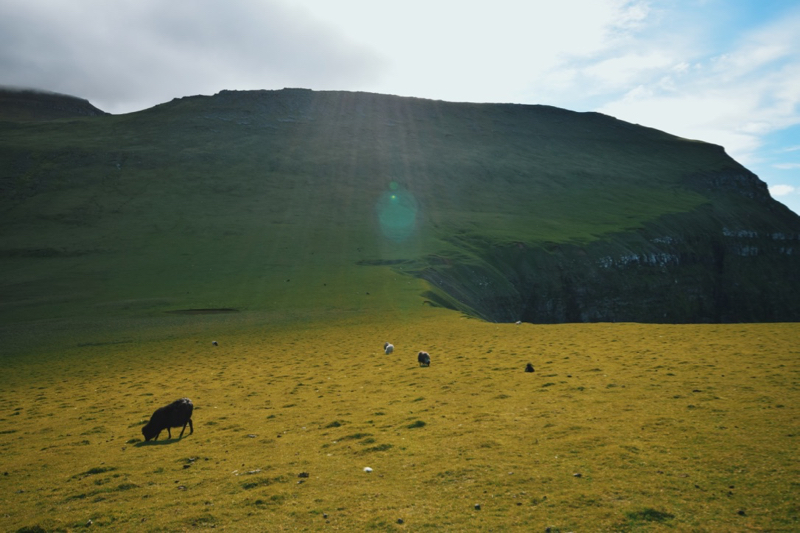 The Faroe Islands: Gjogv on the island of Eysturoy