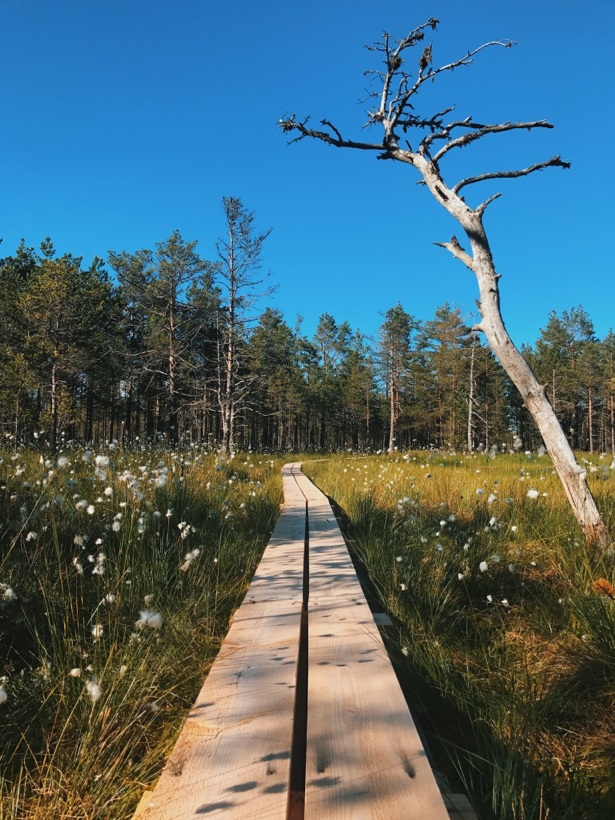 Lahemaa National Park, Estonia, nature lovers, travel guide