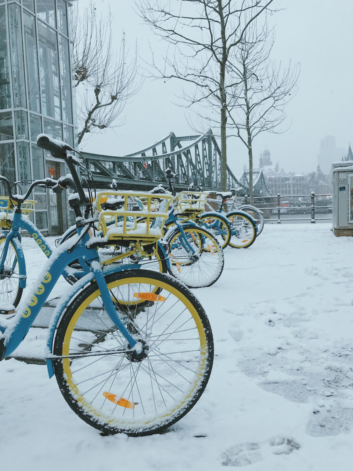 A set of bikes with snow on top.